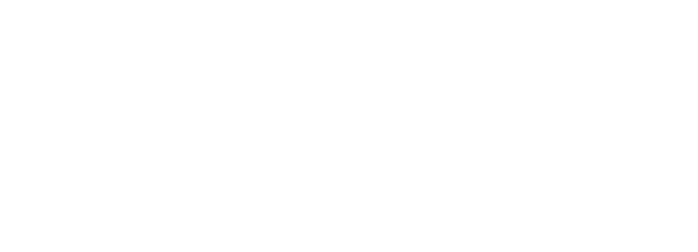 SSR GmbH & Co. KG